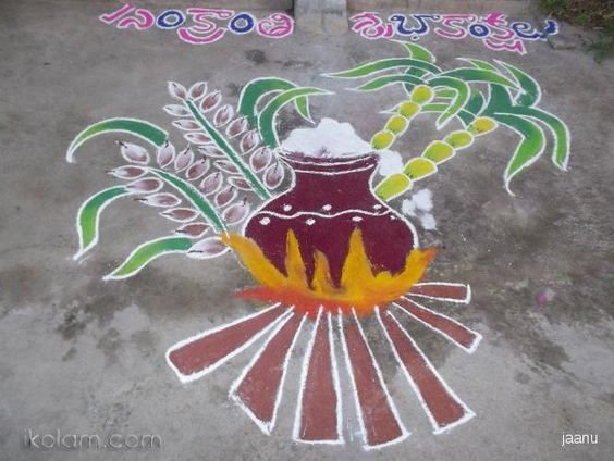 Rangoli Kolangal For Pongal Festival Divineinfoguru